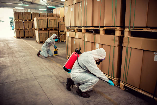 Best Cockroach Control Services  in Ordway, CO