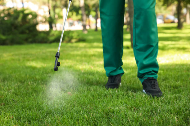Best Wildlife Control Services  in Ordway, CO