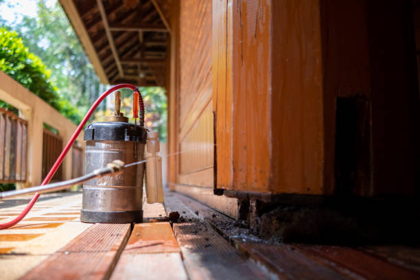Best Best Pest Control Companies  in Ordway, CO