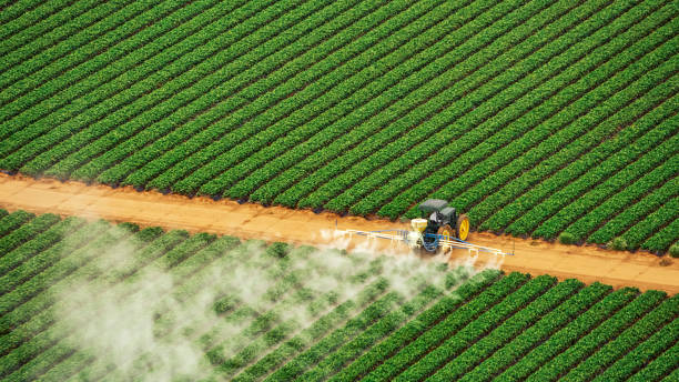 Professional Pest Control in Ordway, CO