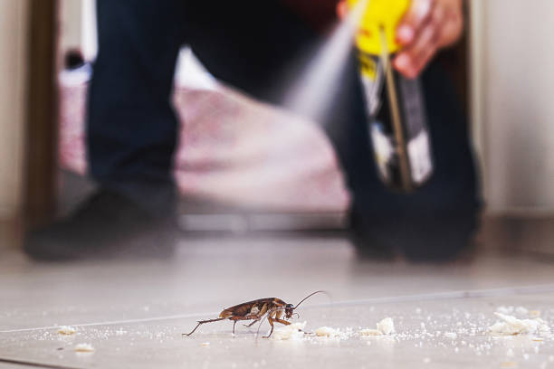 Best Insect Control  in Ordway, CO